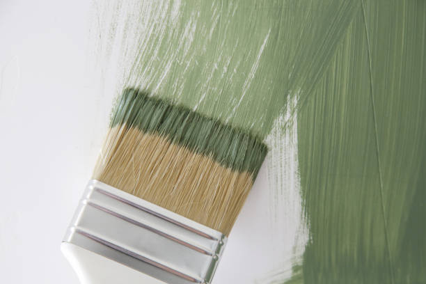 Reliable The Hammocks, FL Mold Removal Solutions