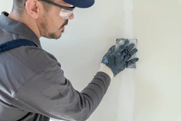 Best Mold Remediation for Healthcare Facilities  in The Hammocks, FL