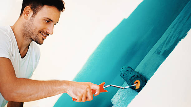 Best Attic Mold Removal  in The Hammocks, FL