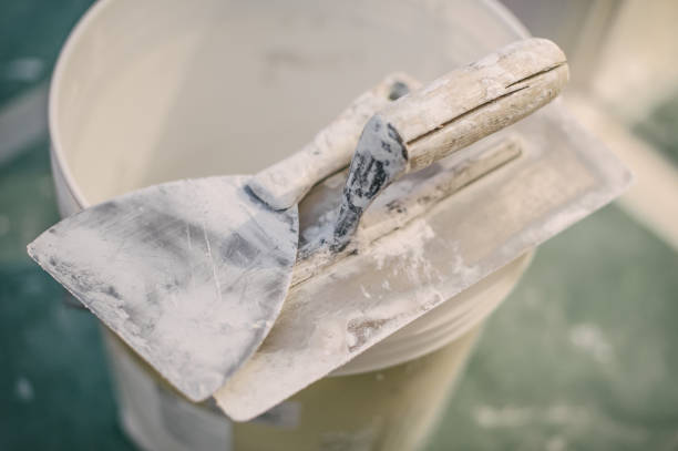 Best Mold Removal for HVAC Installations  in The Hammocks, FL